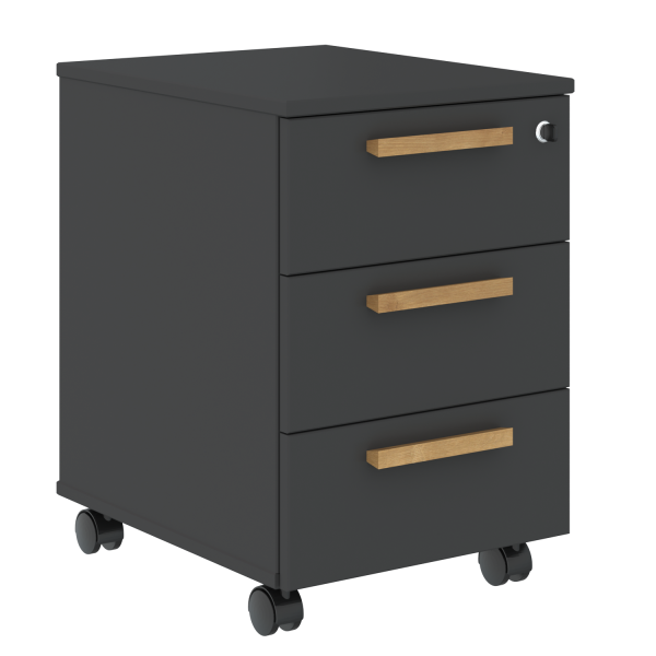 FMC_3D_Tumba_mobil_naya_grafit_buk.png